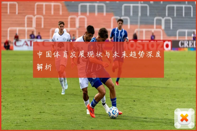 中国体育发展现状与未来趋势深度解析