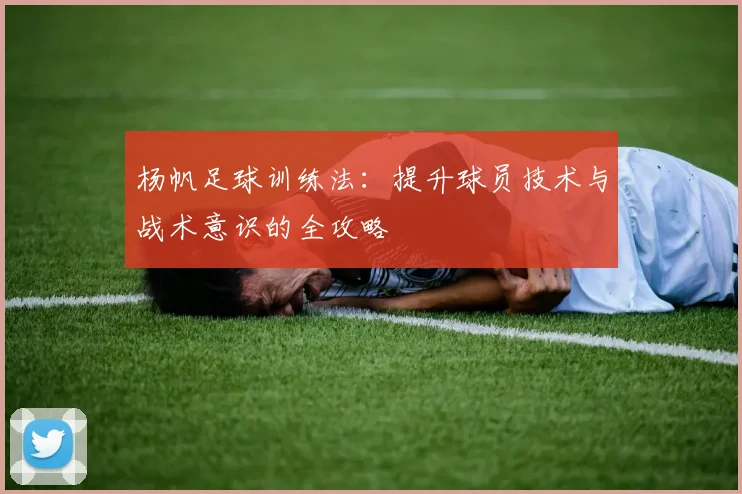 杨帆足球训练法：提升球员技术与战术意识的全攻略